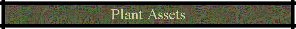 Plant Assets